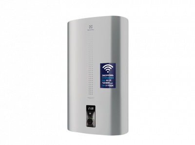 Водонагреватель Electrolux EWH 50 Centurio IQ 2 серый