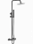 Душевая система Laveo Pretto PLP_10OB графит
