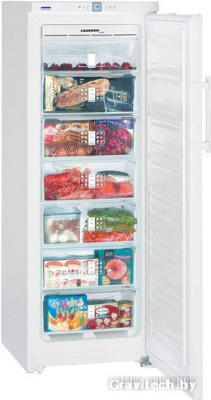 Морозильник Liebherr GNP 2756 Premium